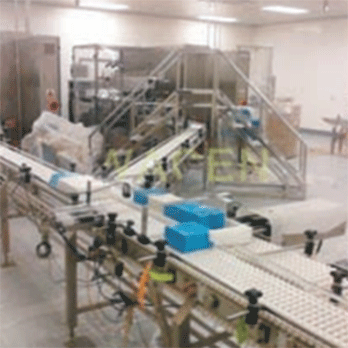 工廠全自動流水生產(chǎn)線